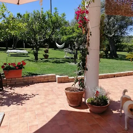 La Collina Del Riccio *