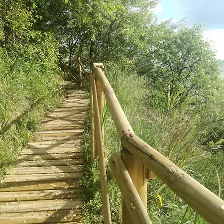 La Collina Del Riccio *