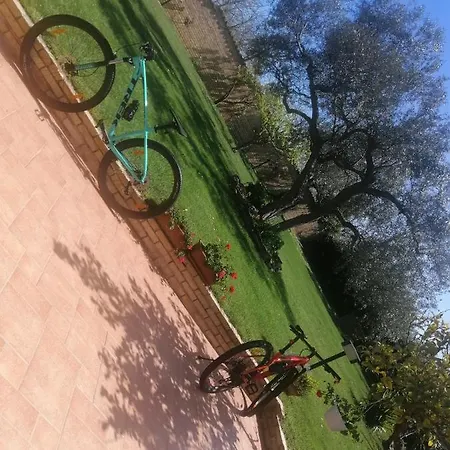 La Collina Del Riccio Apartment *