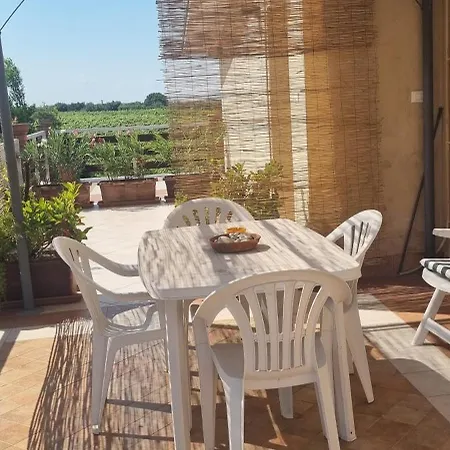 La Collina Del Riccio *