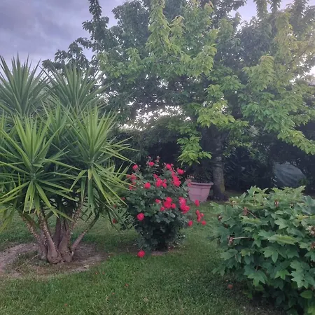 Apartment La Collina Del Riccio Ortona