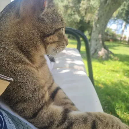 La Collina Del Riccio דירה *