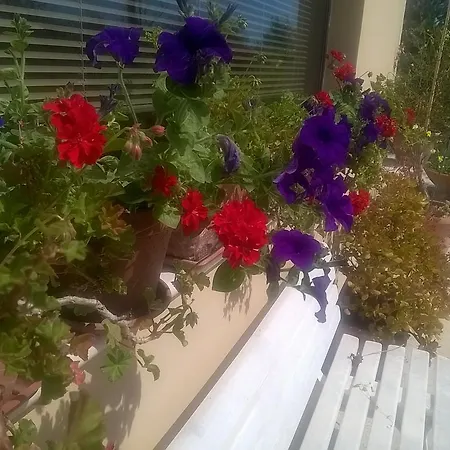 דירה La Collina Del Riccio אורטונה