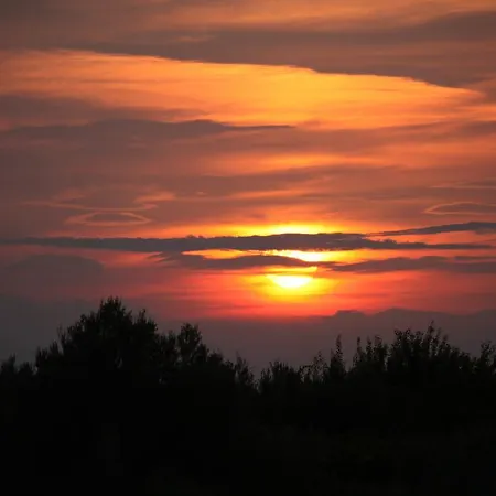 La Collina Del Riccio *