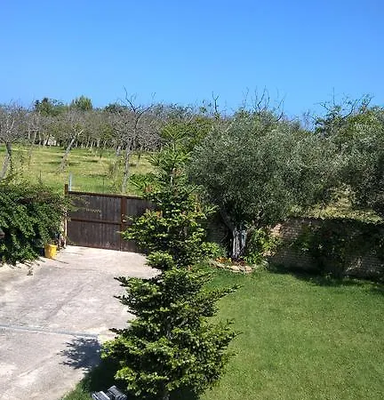 La Collina Del Riccio *