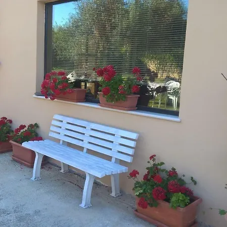 La Collina Del Riccio *