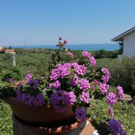 La Collina Del Riccio *