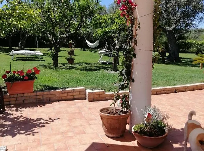 La Collina Del Riccio *