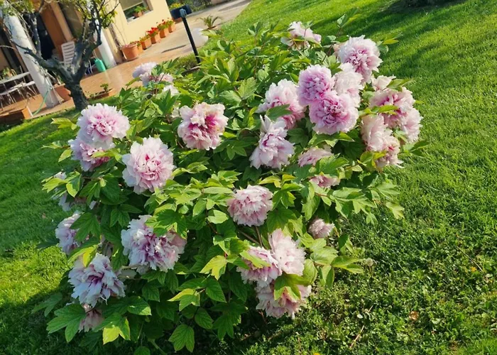 아파트 La Collina Del Riccio *