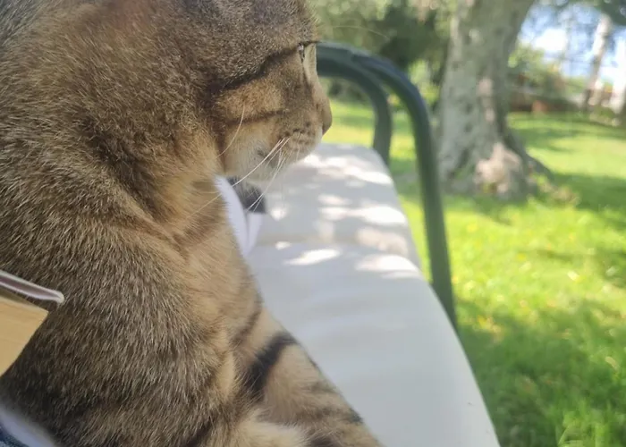 La Collina Del Riccio 아파트 *