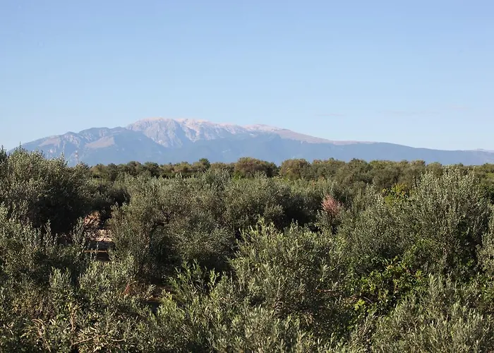 La Collina Del Riccio 아파트 오르토나