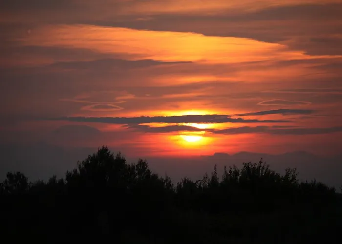 La Collina Del Riccio *