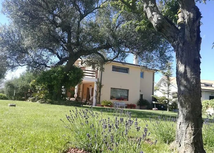 La Collina Del Riccio *