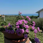 La Collina Del Riccio *