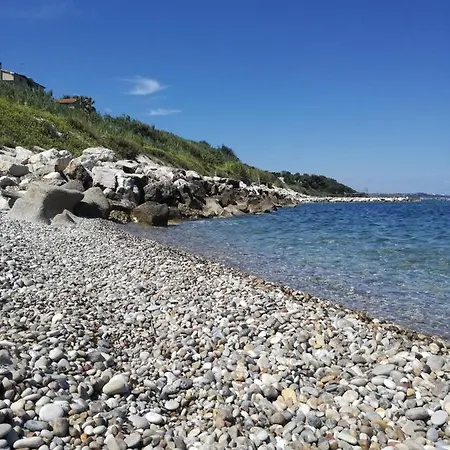 La Collina Del Riccio Apartment