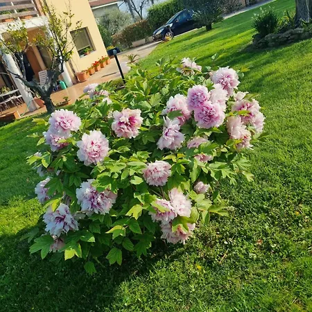 Appartement La Collina Del Riccio *