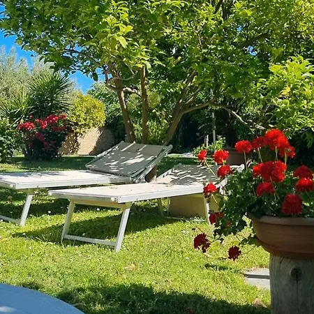 La Collina Del Riccio *