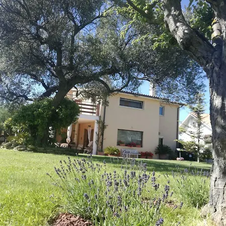 La Collina Del Riccio *