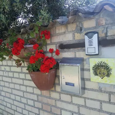 Lägenhet La Collina Del Riccio *
