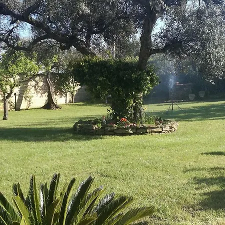 La Collina Del Riccio Apartment *