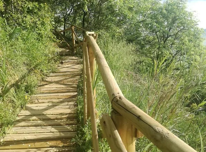 La Collina Del Riccio *