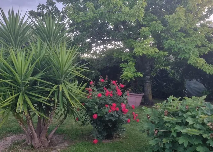 Appartement La Collina Del Riccio Ortona