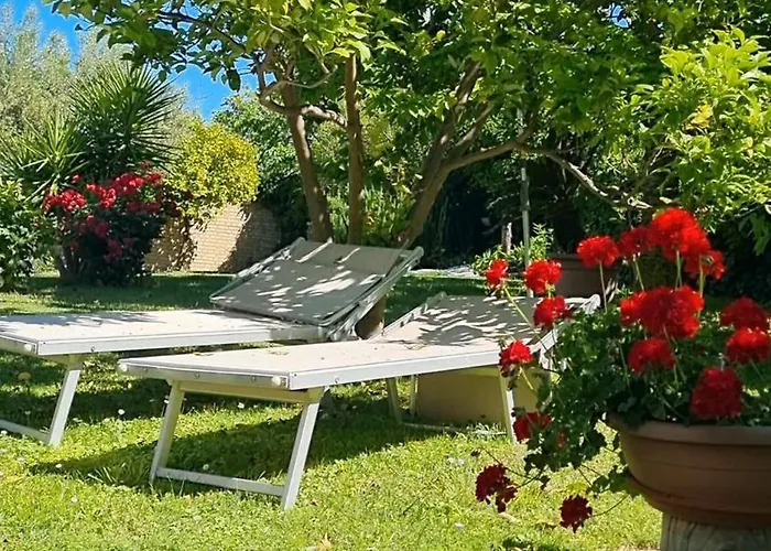 La Collina Del Riccio *