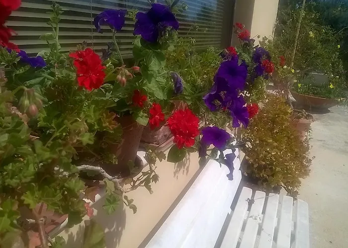 Appartement La Collina Del Riccio Ortona