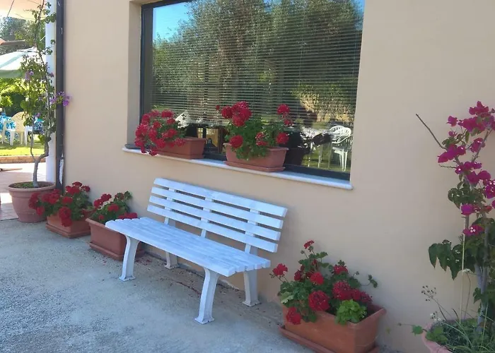 La Collina Del Riccio *