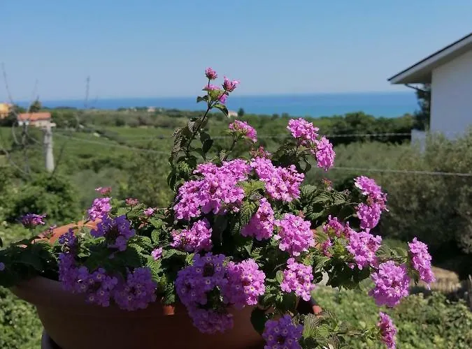 La Collina Del Riccio *